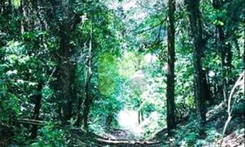 Imagem 4: Haras a venda em Casimiro de Abreu