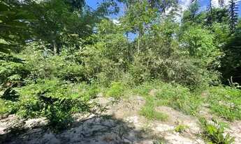 Imagem 4: Vendo terreno pajussara