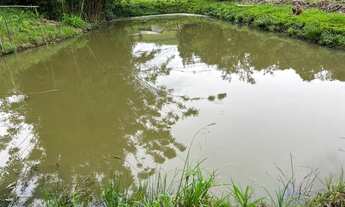 Imagem 4: Chácara 14 hectares, potreiro, roças, frutíferas,3 açudes