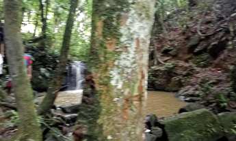 Imagem 6: Terreno próximo a cachoeira do monjolo 4 mil MTS