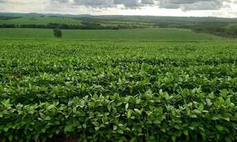 Imagem 12: Fazenda 86.6 alq em Caiapônia Goiás. 16.920.000