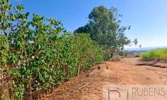 Imagem 2: CEDRAL (SP) Sítio 1,36 alqueires