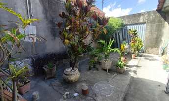 Imagem 4: Excelente Casa de Esquina no Cleto