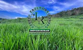 Imagem: Excelente Chácara 10 Alqueires