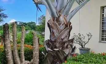 Imagem 2: Vende-se Excelente casa no Parque 10