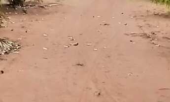 Imagem: Baixei para vender logo