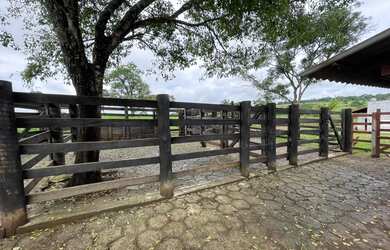 Imagem 4: Ótima chácara próximo de Goiânia