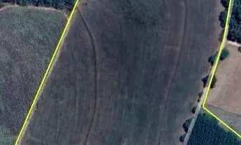 Imagem: SÍTIO À VENDA COM PLANTAÇÃO DE CANA