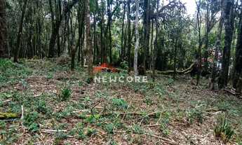 Imagem 3: Lote em Nova Capivari - Nova Capivari - Campos do Jordão/SP