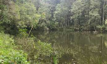 Imagem 5: Chácaras em Campina Grande do Sul