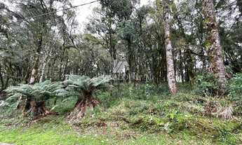 Imagem 2: TERRENO NO CONDOMÍNIO PINHEIRO GROSSO EM CANELA!