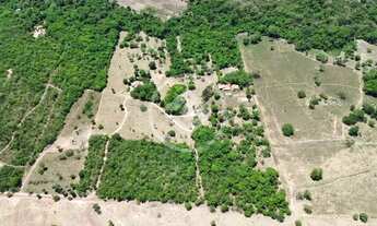 Imagem 3: Hidrolândia - Chácara de 3 Alqueires codigo: 152378