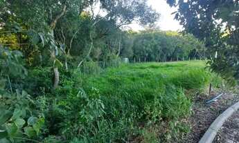 Imagem 7: Ótimo lote à venda no Condomínio Saint Louis, em Viamão!