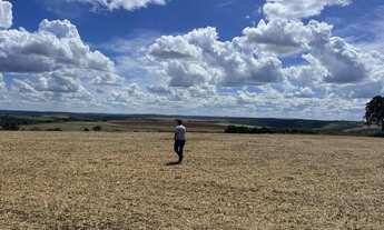 Imagem 3: Fazenda de Lavoura 46 Alqueires!