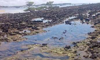 Imagem 2: Repasse de Pousada + Casa em Carneiros