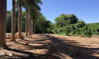 Imagem 3: LOTE TOP RESIDENCIAL 380 METROS SUCUPIRA AVENIDA PRINCIPAL