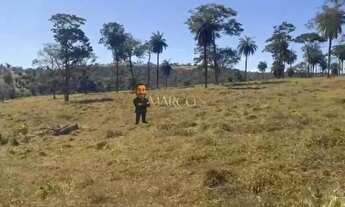 Imagem 6: Quem Investe em Terra Nunca Erra