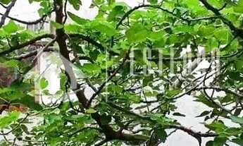 Imagem 7: Casa 3 quartos Parque Atheneu