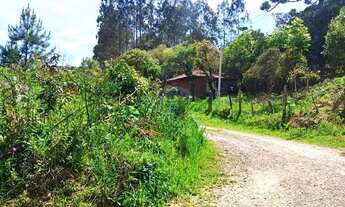 Imagem 2: Chácara em Tijucas do Sul, Paraná!