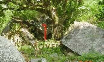 Imagem 2: Excelente Terreno 4000 m2 bem localizado frente murada com pequena casa frente para a estr