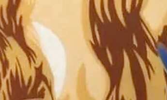 Imagem 7: Hotel com 5 quartos à venda, 162 m², Santa Teresa, Rio de Janeiro-RJ