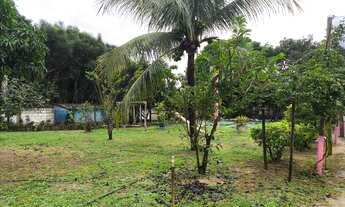 Imagem 7: Sítio em Quissamã