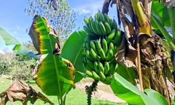 Imagem 3: Chácara à venda em Juquitiba com riacho e lago, ótima localização e pagamento facilitado