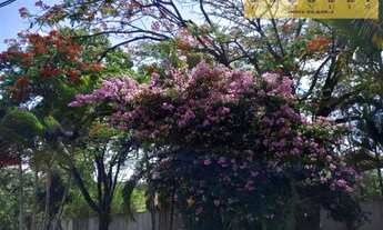 Imagem 3: Chácaras para venda em Boituva no bairro Santa Adelia