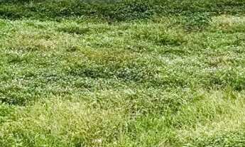 Imagem 3: Lote com 326m² no Cond. Sunset Beach? Barra dos Coqueiros/SE_