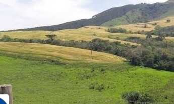 Imagem 7: Fazenda a Venda Área de 60 Alqueires Município de Reserva