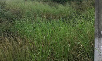 Imagem 7: Terreno Condomínio Cruzeiro São Pedro da Aldeia