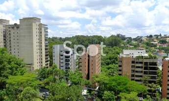 Imagem 6: São Paulo - Apartamento Padrão - Real Parque