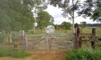 Imagem 6: Machadinho D'Oeste - Sítio - 16.5 alqueires