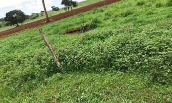 Imagem 7: Fazenda para venda em Martinesia com 82 alqueires