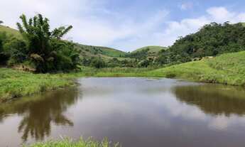 Imagem 4: LINDA ÁREA COM NASCENTE E LAGO A VENDA NO VALE DAS VIDEIRAS