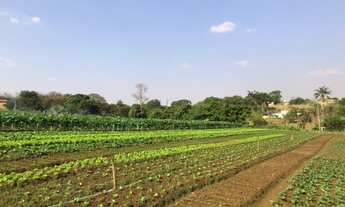 Imagem: Area 20.303,00 m² - Loteamento Quinta do