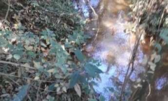 Imagem 7: Sítio 40 Hectares - Sítio 48 Hectares Arantina