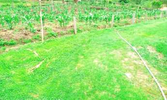 Imagem 7: Charmosa chácara na serra da mantiqueira em Delfim Moreira no sul de MG