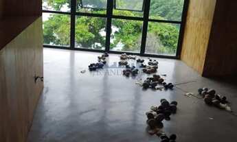 Imagem: Rio de Janeiro - Loja/Salão - Barra da