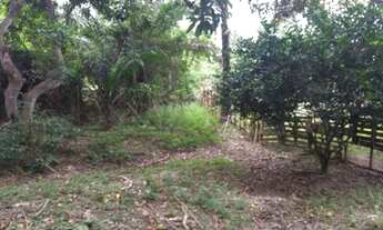 Imagem 5: Chácara fantástica Maricá