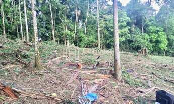 Imagem 6: Blumenau - Terreno Padrão - Itoupavazinha