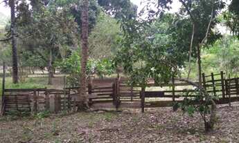 Imagem 4: Chácara fantástica Maricá