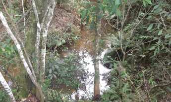 Imagem 4: Maravilhosa fazendinha de 20.000m² com água corrente,Jaboticatubas (Temos varias opções)