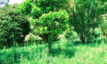 Imagem 4: Ótima chácara na serra da mantiqueira em Virgínia no sul de MG