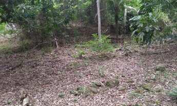 Imagem 3: Chácara fantástica Maricá