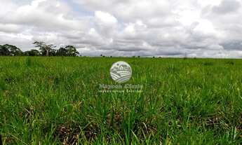 Imagem: Machadinho D x27 Oeste - Fazenda - 140