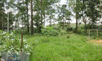 Imagem 7: Loteamento para Venda em Santo André, Recreio da Borda do Campo