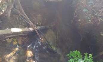 Imagem 2: Sitio em casia dos coqueiros 3,8 alqueires 500.000.00