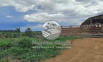 Imagem 3: Machadinho D'Oeste - Fazenda - Machadinho D'Oeste