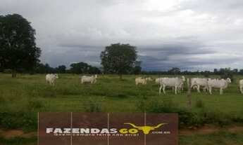 Imagem 4: Oportunidade Extra ! Fazenda em Uruaçu ! 104 Alqueires !